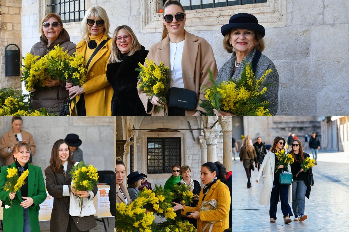 Foto / LIGA PROTIV RAKA; „DAN MIMOZE” ISPRED SPONZE