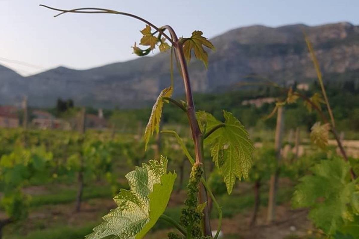 Produljen rok za prijavu na Natječaj za potpore ulaganju u pokretanje nepoljoprivrednih djelatnosti u ruralnim područjima