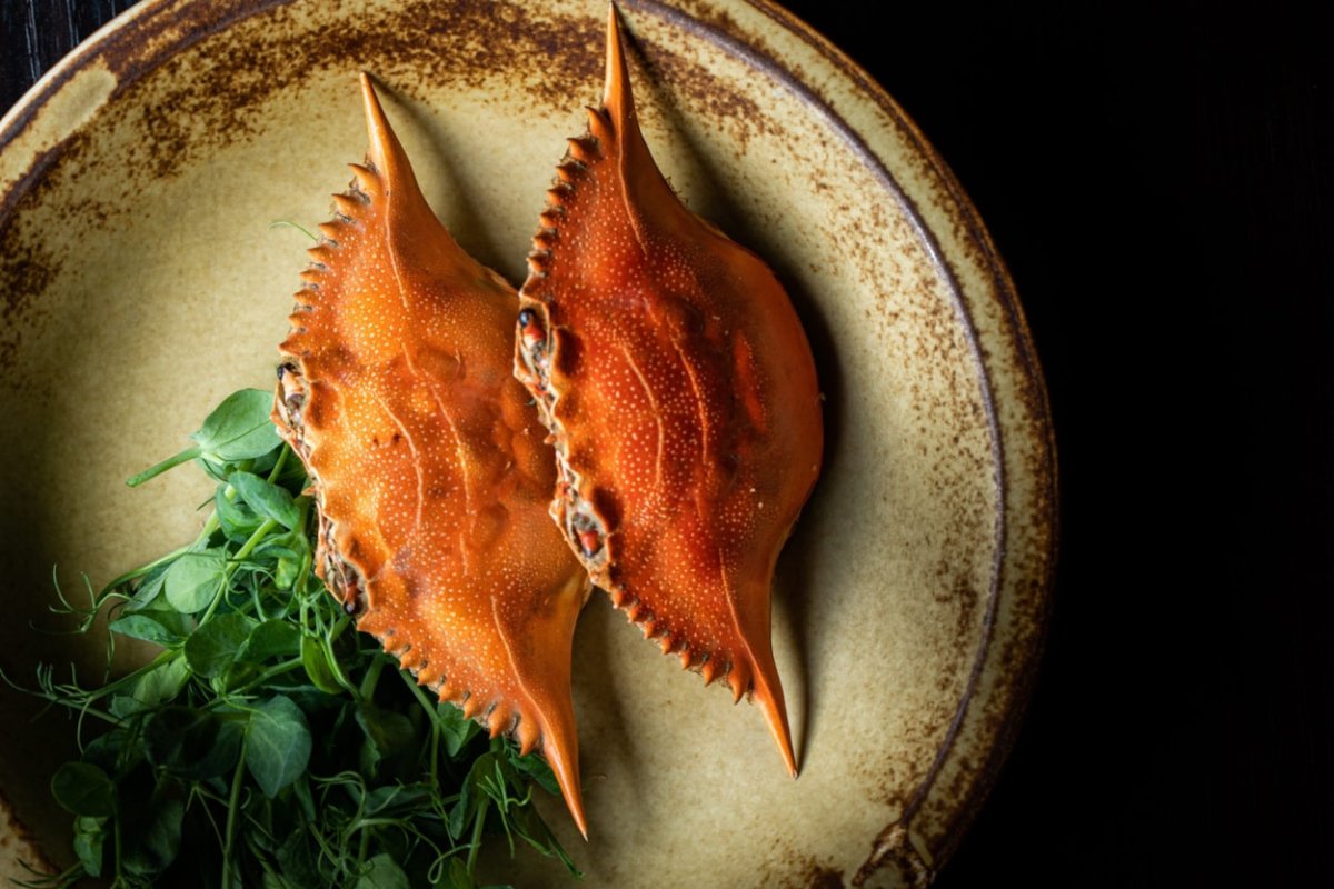 POSLASTICA JE, A PRVI JE PUT U HRVATSKOJ PRONAĐEN U STONSKOJ SOLANI