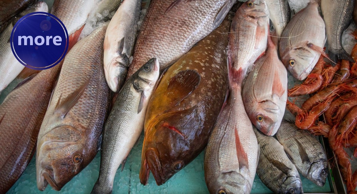 VRSTA I KOLIČINA ULOVA UVELIKE OVISI O JEDNOJ PRIRODNOJ POJAVI