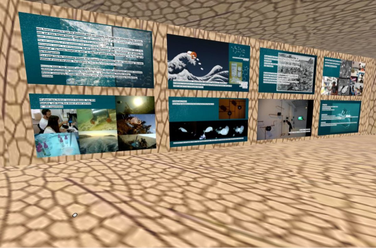 U sklopu projekta „Dubrovnik Postmodern” online izložba "Aqua_forensic"