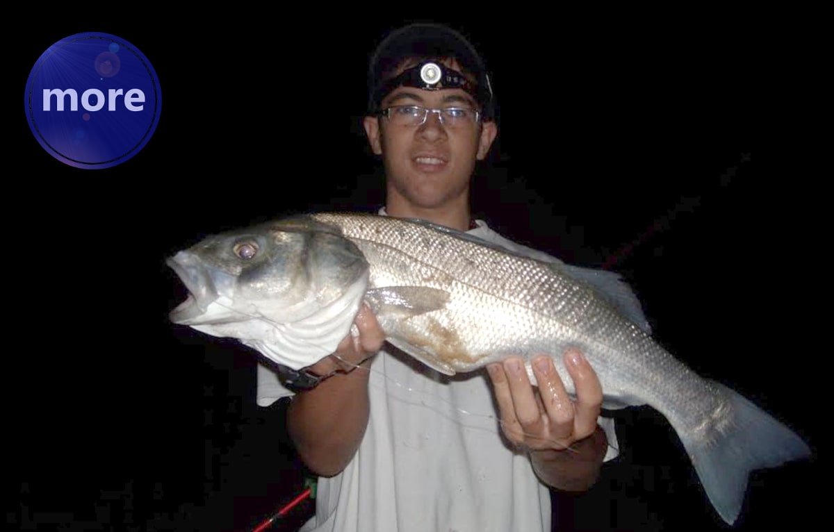 SMUDUTI SE U OVO VRIJEME NAJBOLJE LOVE GAVUNIMA KAO MAMCEM