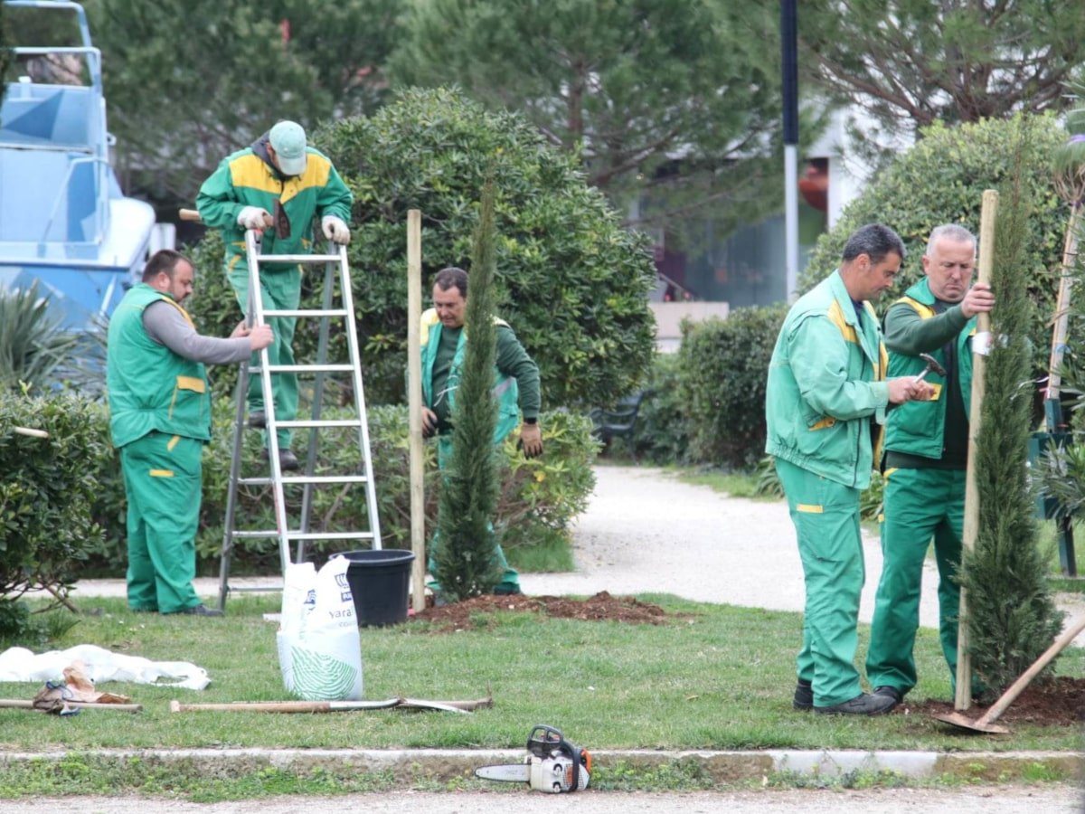 TZ GRADA DUBROVNIKA: SADNJA STABALA UZ PROJEKT HRVATSKA – PRIRODNO TVOJA