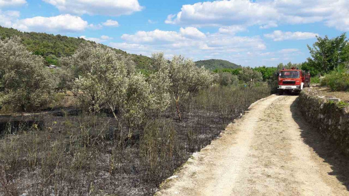Buknulo na Šipanu; požar brzo ugašen