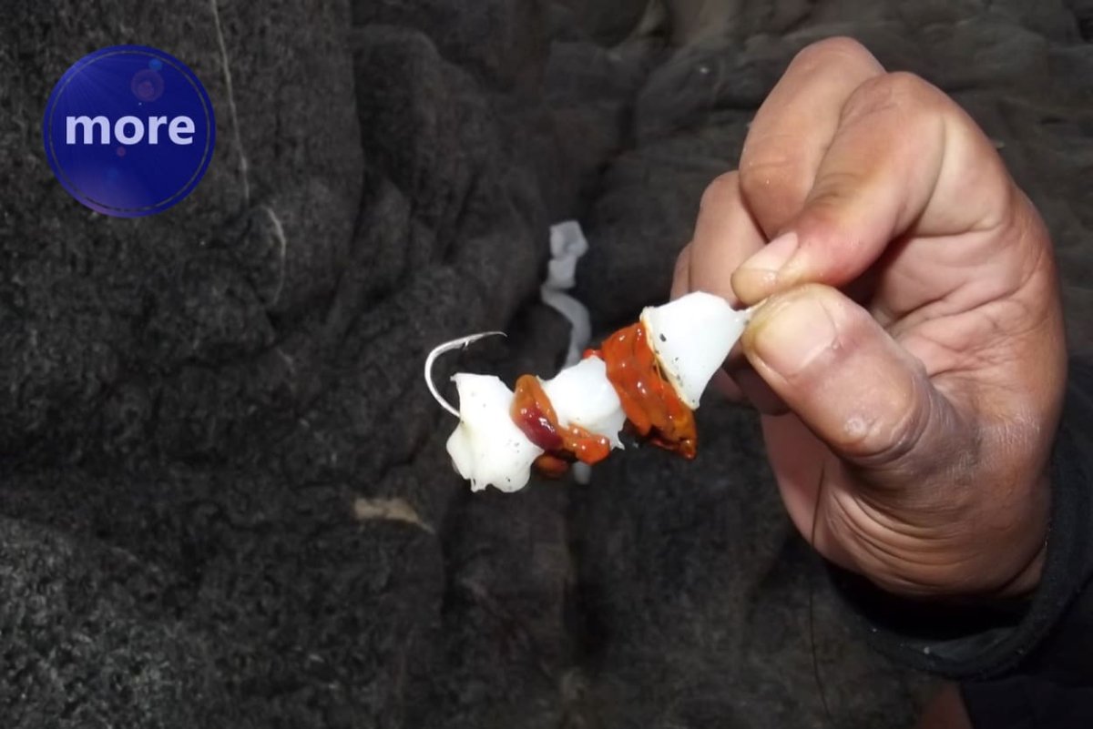 ZA POSLJEDNJI OBROK RIBI PONUDI „MIJEŠANO MESO”