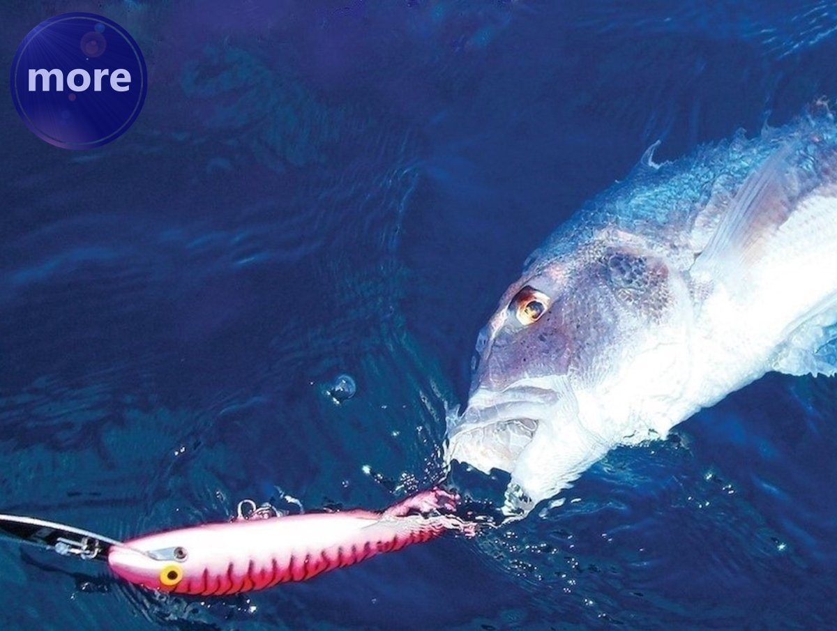 „Monel” struna za pendulu na velikim dubinama