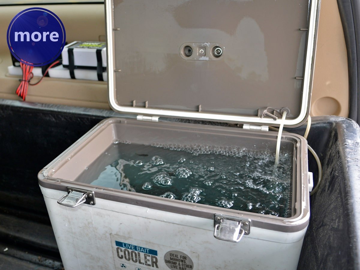 ČUVANJE ŽIVIH MAMACA