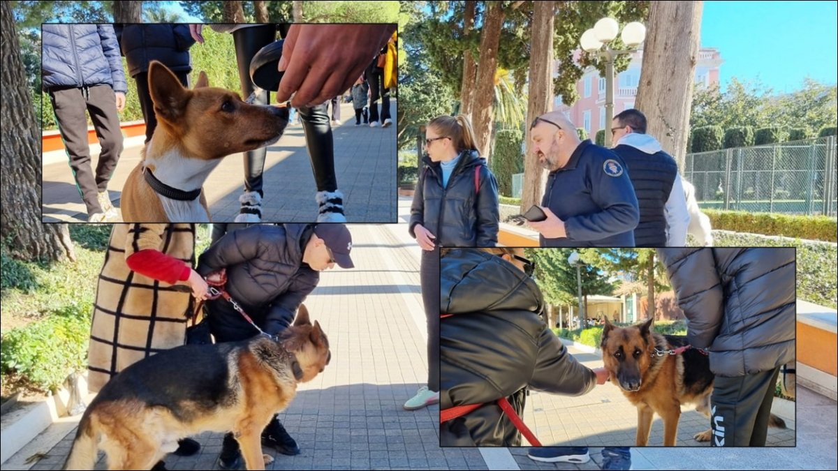 KOMUNALNI REDARI U UVALI PROVJERAVALI VODE LI SE PSI NA PROPISANI NAČIN