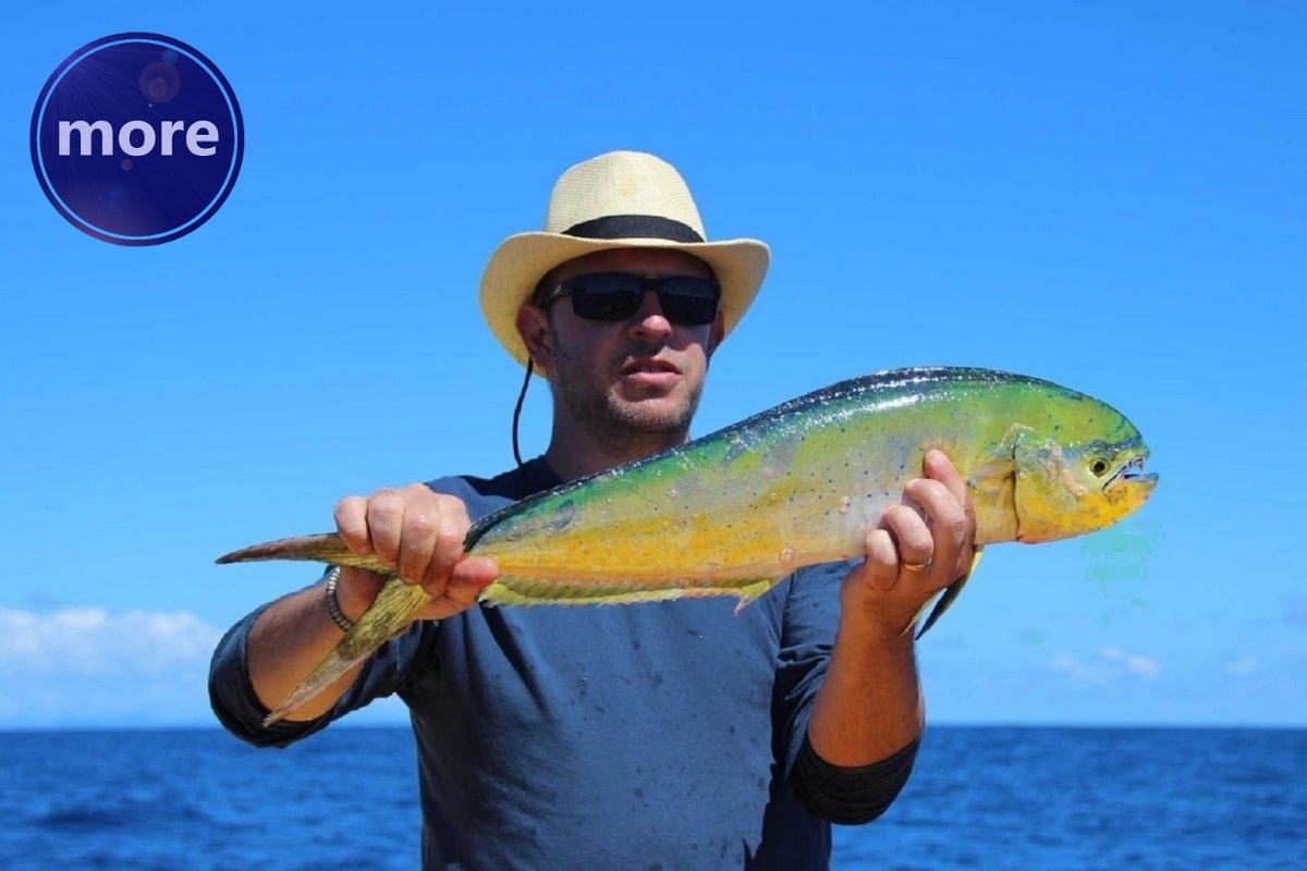 PUČINSKA PENDULA NA ĐITI