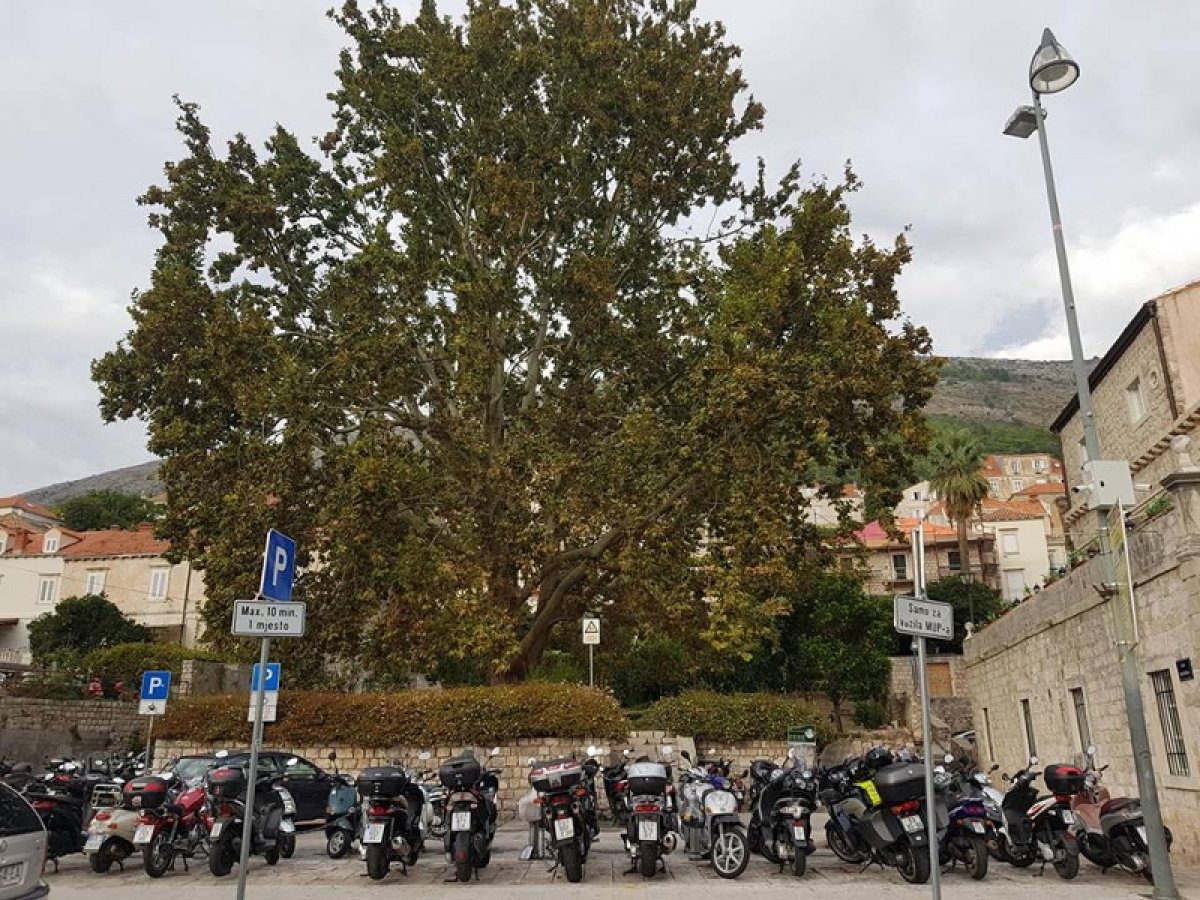Od ponedjeljka do petka ispod Platana na Pilama neće biti moguće parkiranje motora
