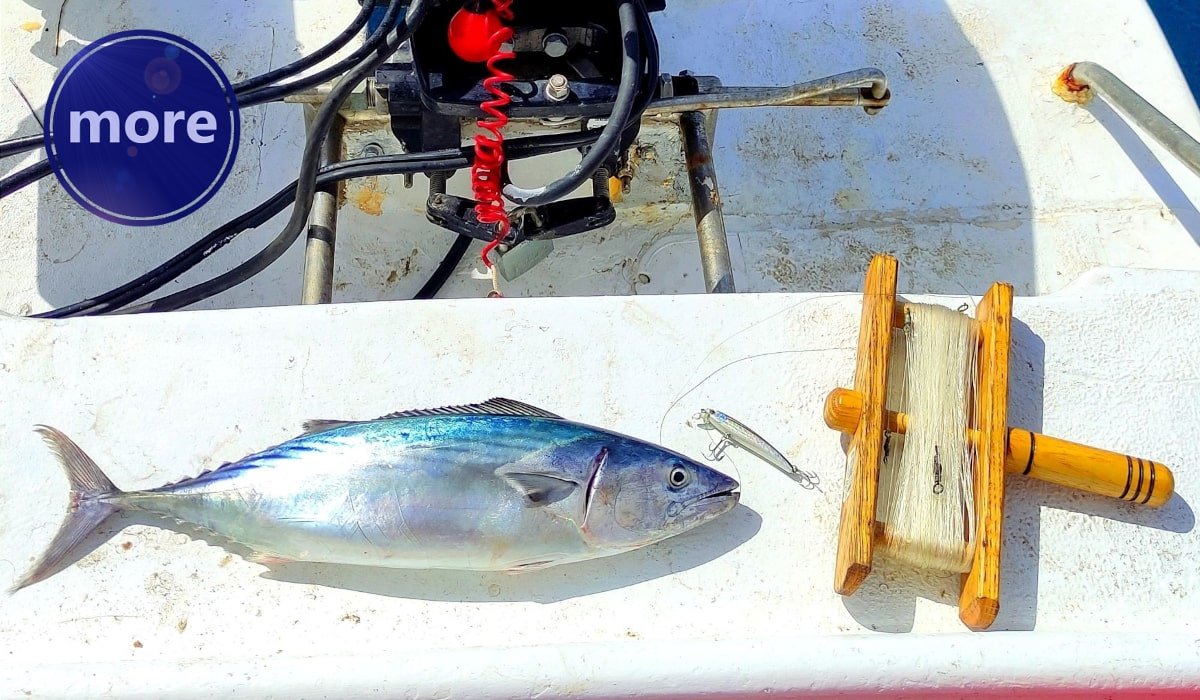 KOJE SU VARALICE NAJBOLJE ZA POLANDE