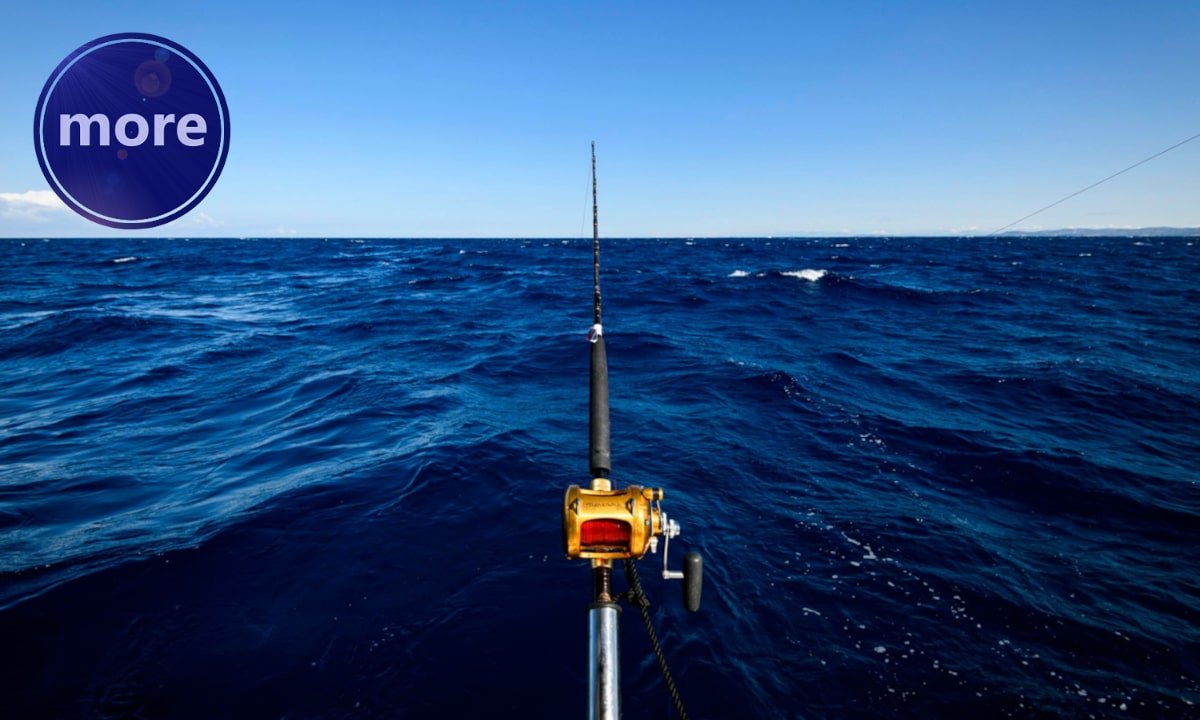 VEĆINA RIBA VIŠE VOLI ZVUČNE OD „NIJEMIH” VARALICA