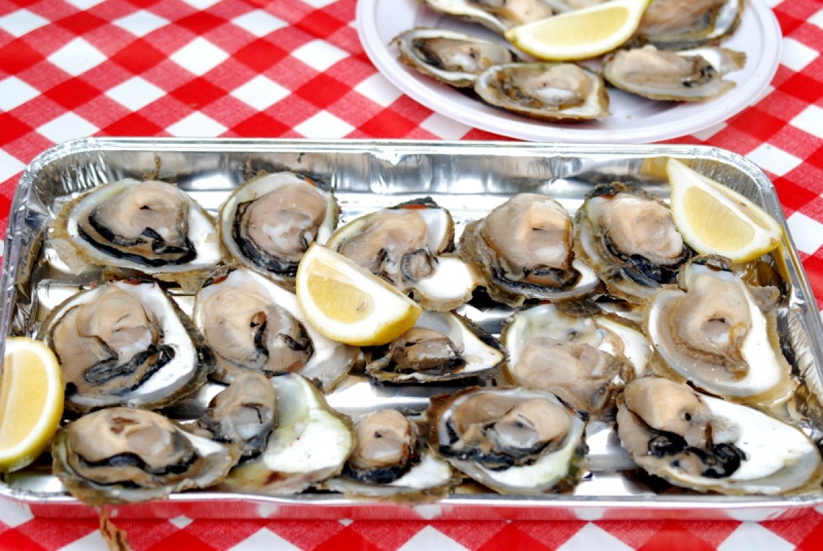 Festa od kamenica ponovo na Stradunu