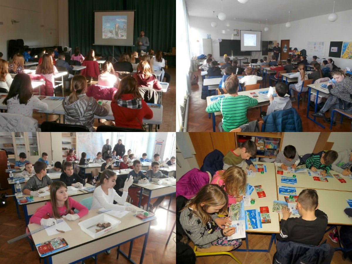 Tajni život morske trave