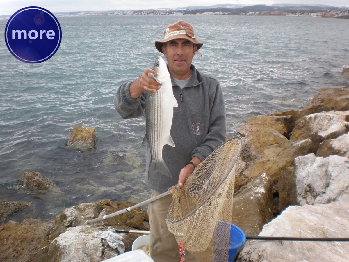 RAZDOBLJE NAJBOLJEG RIBOLOVA NA CIPOLE