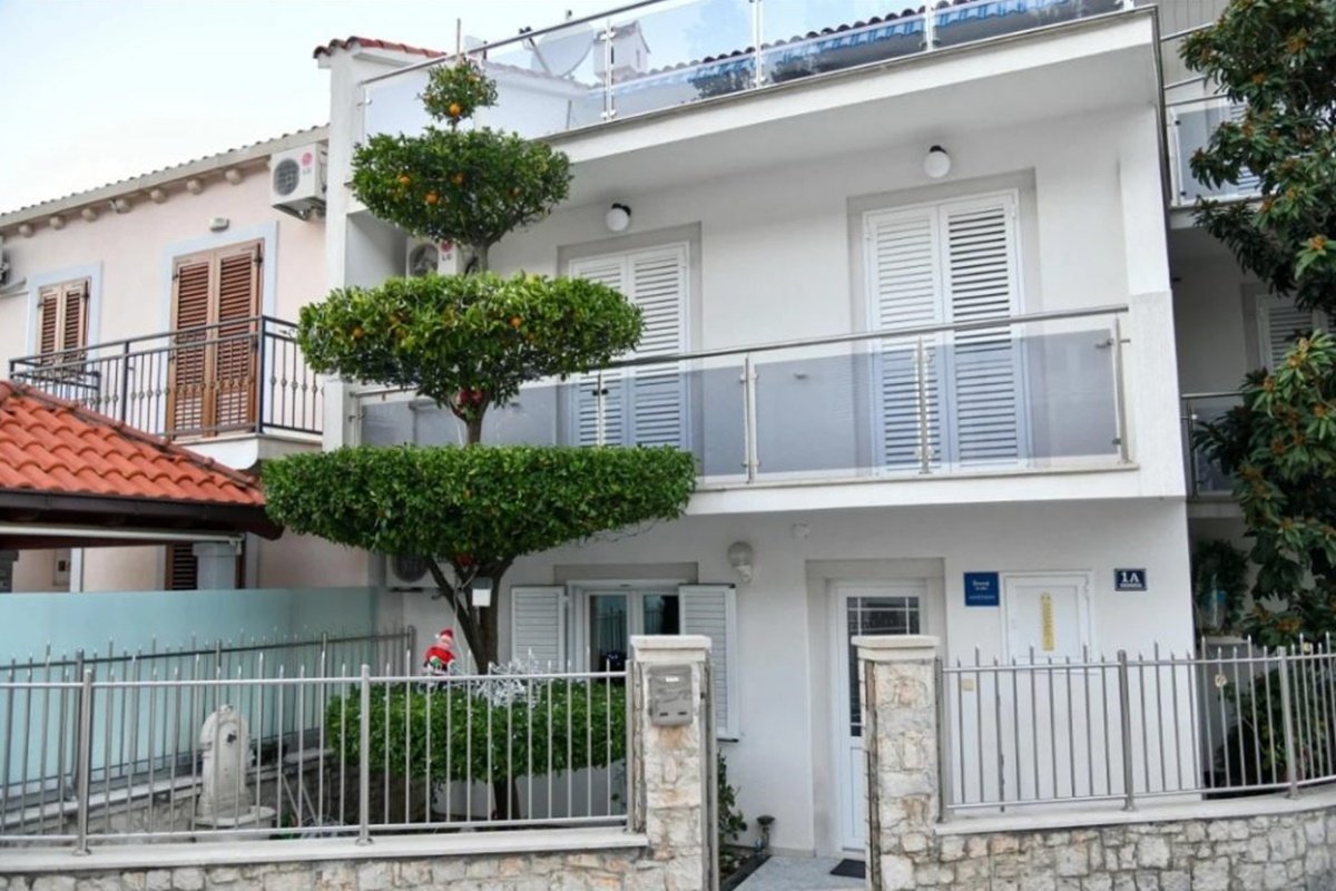 Ljuta naranča „na katove” iz Kupara u konkurenciji za hrvatsko stablo godine