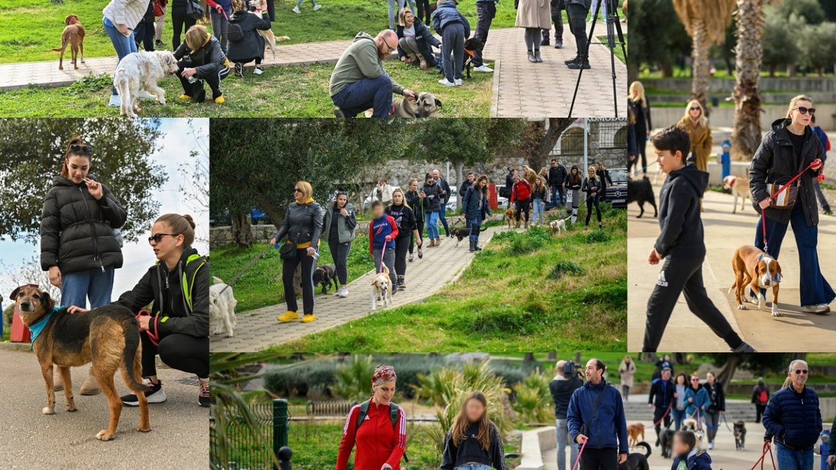 Foto / ŠETNJA U UVALI S KUČKIMA IZ AZILA