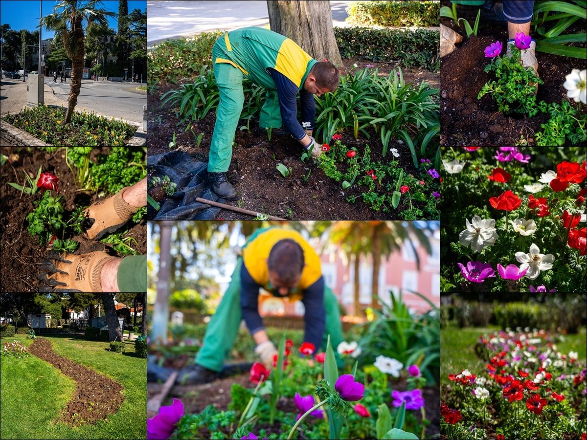 Foto / VRTLAR KRENUO S PROLJETNIM UREĐENJEM ZELENIH POVRŠINA