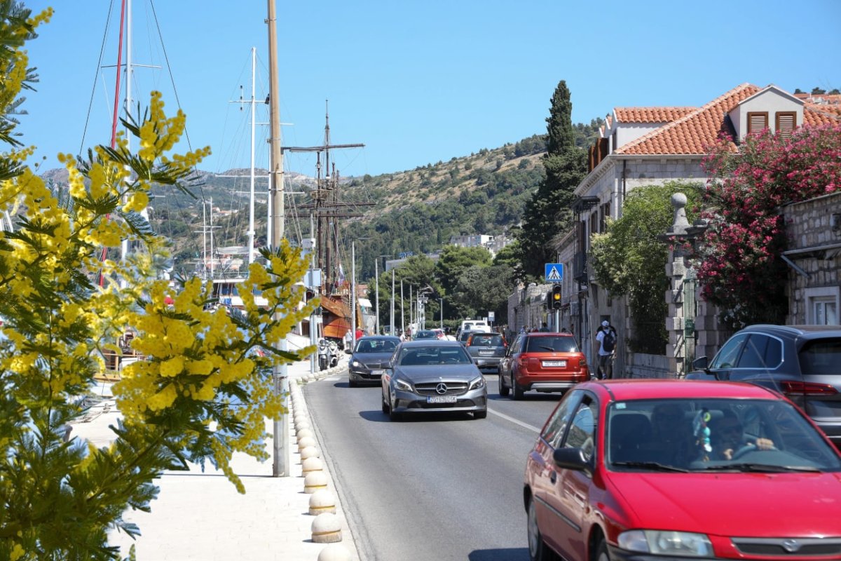 NOVE VIZURE GRUŽA UZ DRVOREDE PALMI, KOŠĆELA I MIMOZA