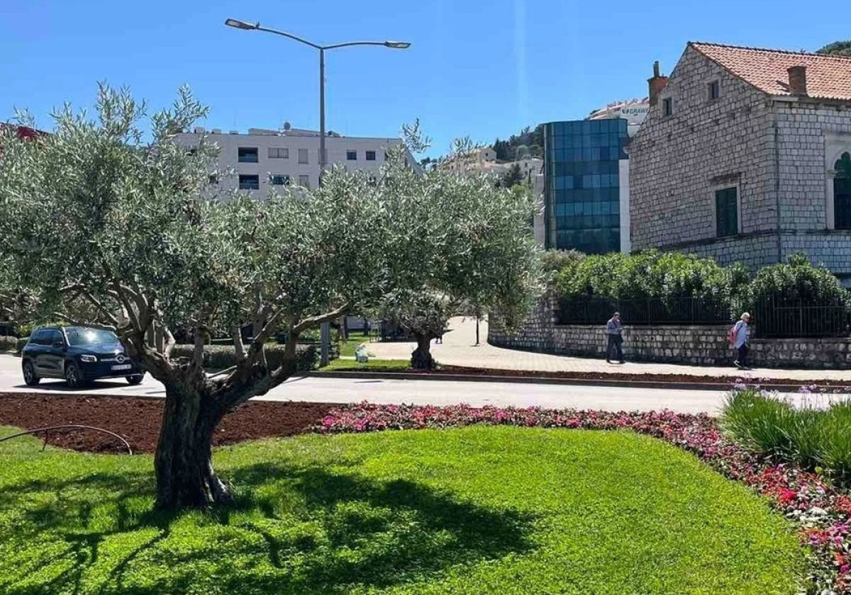 ANKETA O OZELENJAVANJU DUBROVNIKA