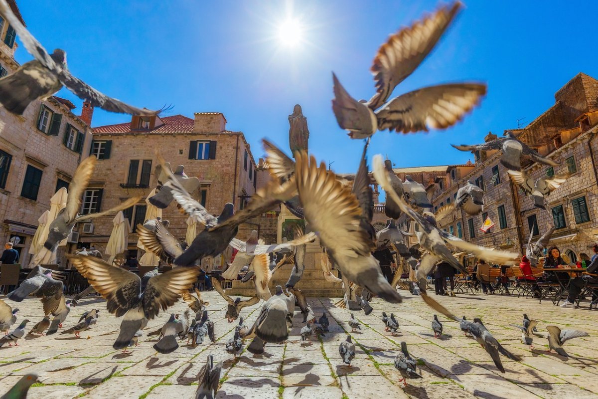 Časopis Global Traveler Dubrovnik proglasio najboljom destinacijom za grupne dolaske