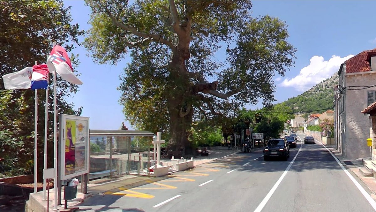 IZMJESTIT ĆE SE AUTOBUSNA STANICA U TRSTENOM, IZGRADITI PARKING I ONEMOGUĆITI PARKIRANJE ISPOD PLATANA